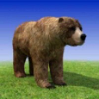 Bear Madness 1.1