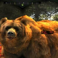 BearHunter3D icon