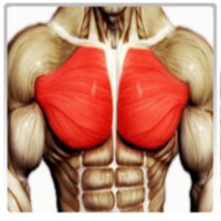 Best Chest Workout icon