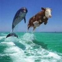 Best Funny Pics icon