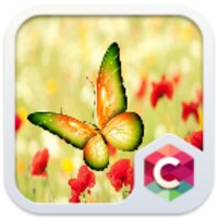 ButterfLy icon