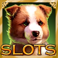 Slots Mania icon