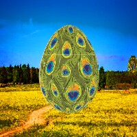 Bird Eggs icon