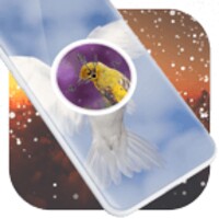 Birds Clock Live Wallpaper icon