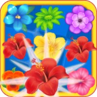 Blossom Fever icon