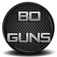 BO Guns icon