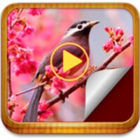 Photo Story Book icon