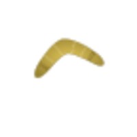 Boomerang icon