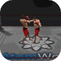 Boxing Match 1.2