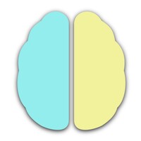 Brain Cards flashcards icon