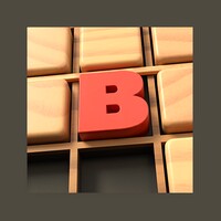 Braindoku icon