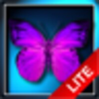 Butterflies LITE Wallpaper icon