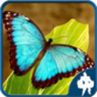 Butterfly Jigsaw Puzzles icon