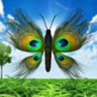 Butterfly Peacock icon