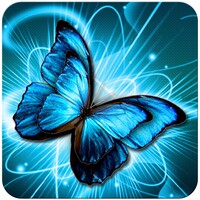 Butterfly Wallpaper 1.7