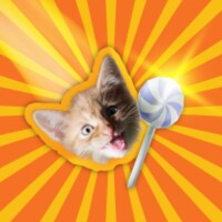 Candy Cat icon