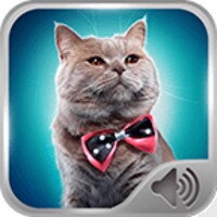 Cat Sounds Ringtones 5.0