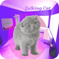 Cat Talking icon