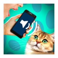 Cat Voice Translator 1.3