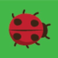 Catch Bugs icon