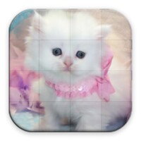 Cats Puzzle 1.45