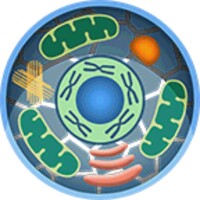 Cell World icon