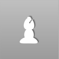 Chess Tactic Puzzles icon