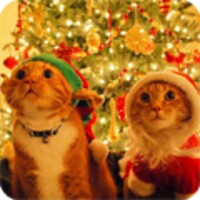 Christmas Cat live wallpaper icon