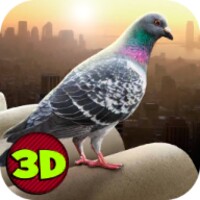 City Bird Pigeon Simulator 3D icon