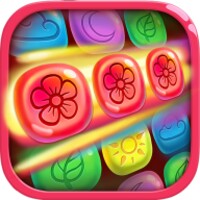 Color Craze icon