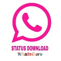 Status Downloader icon