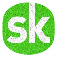 SK icon