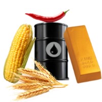 Commodity Asia icon