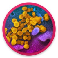 Coronavirus COVID 19: live tracker & symptoms icon