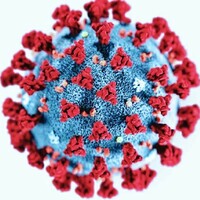 Coronavirus Map icon