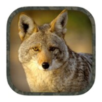 Coyote Hunting Calls 2.0