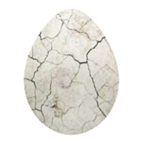 Crack Egg icon