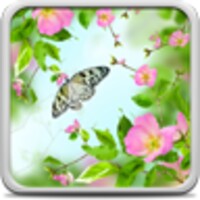 Spring Flowers Live Wallpaper icon