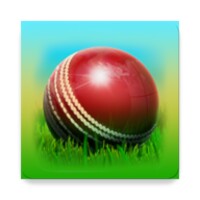 Cricket 3D icon