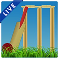 Cricket Buzz icon