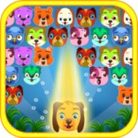 Cute Dogs Bubble Shooter icon