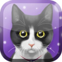 Cute Kitty Live Wallpaper icon