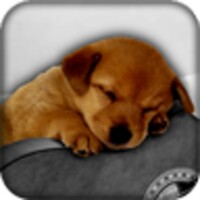 Cute Live Wallpapers icon