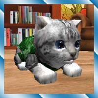 Cute Pocket Cat 3D 1.2.2.3