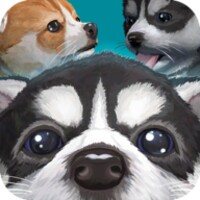 Cute Pocket Puppy 3D - Part 2