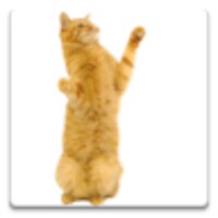 Dancing Cat icon