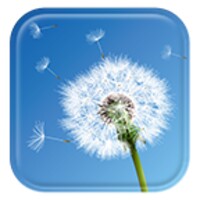 Dandelion icon