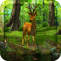 Dawn Forest 3D 1.6.8