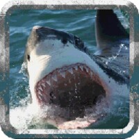 Deadly Shark: Marine Simulator 1.3