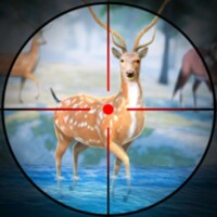 Deer Hunter Animal Africa